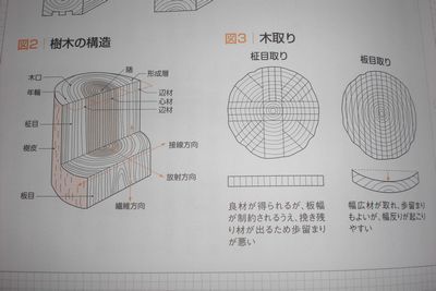 樹木の構造.jpg